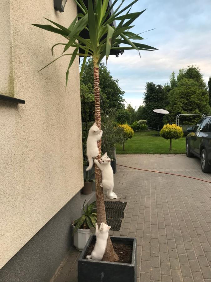 Agroturystyka Nad Stawami Szemud Exterior foto