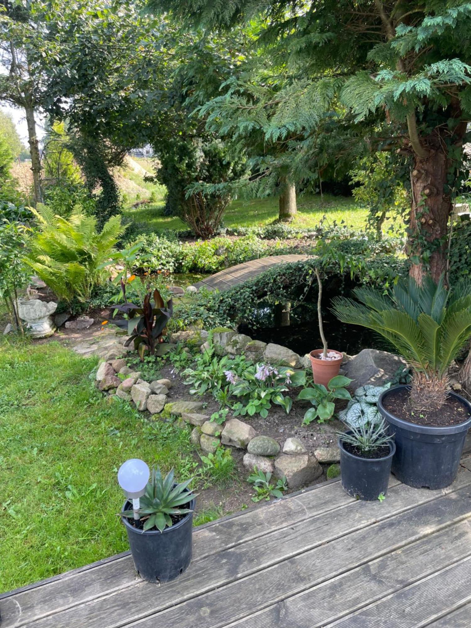 Agroturystyka Nad Stawami Szemud Exterior foto